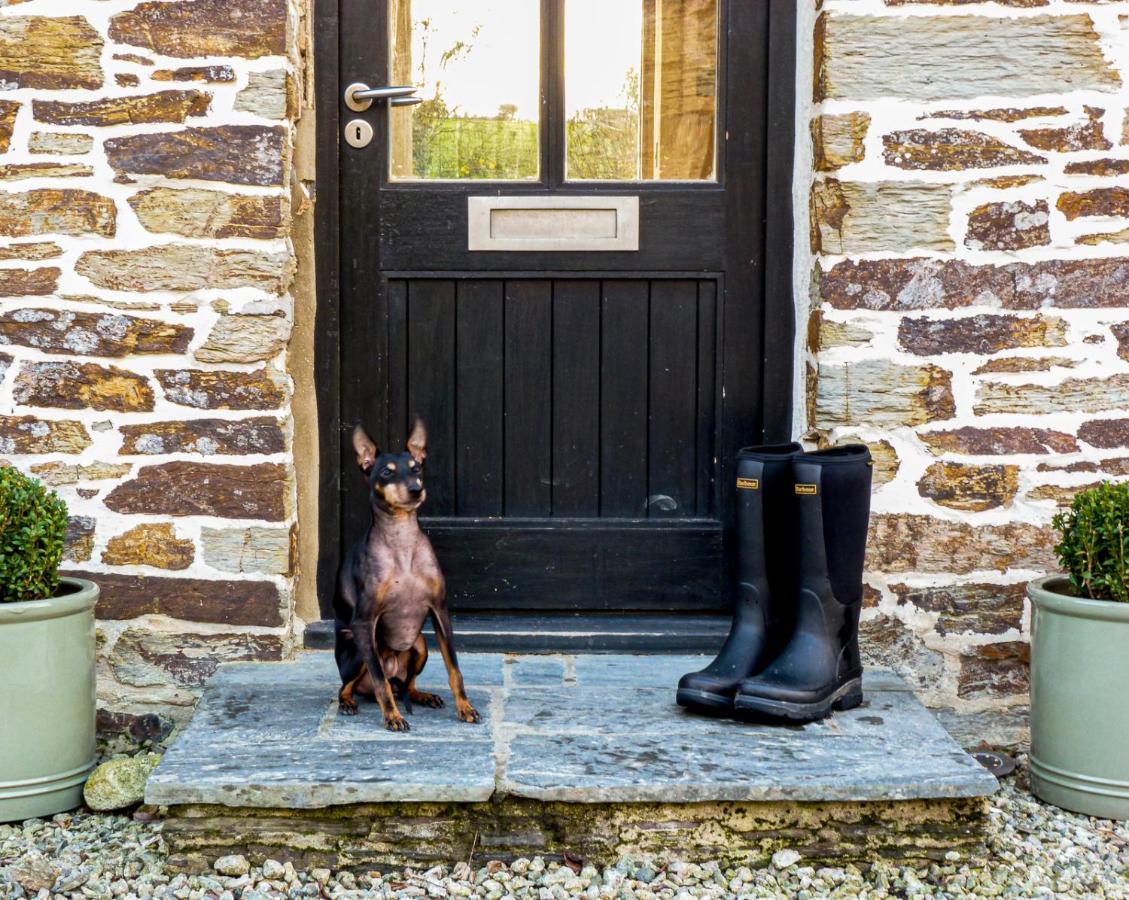 Vila Gwel An Heyl, Padstow Little Petherick Exteriér fotografie
